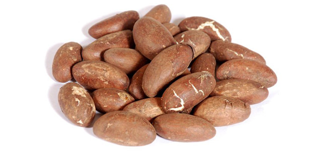 گارسینیا کولا